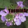 YasminArt