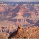 Yavapai Point