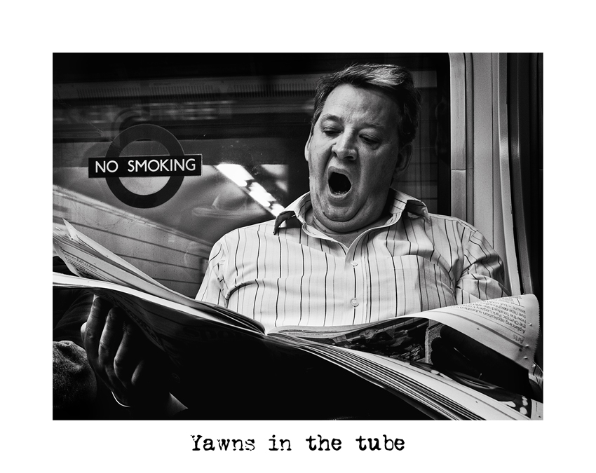 Yawns in the tube