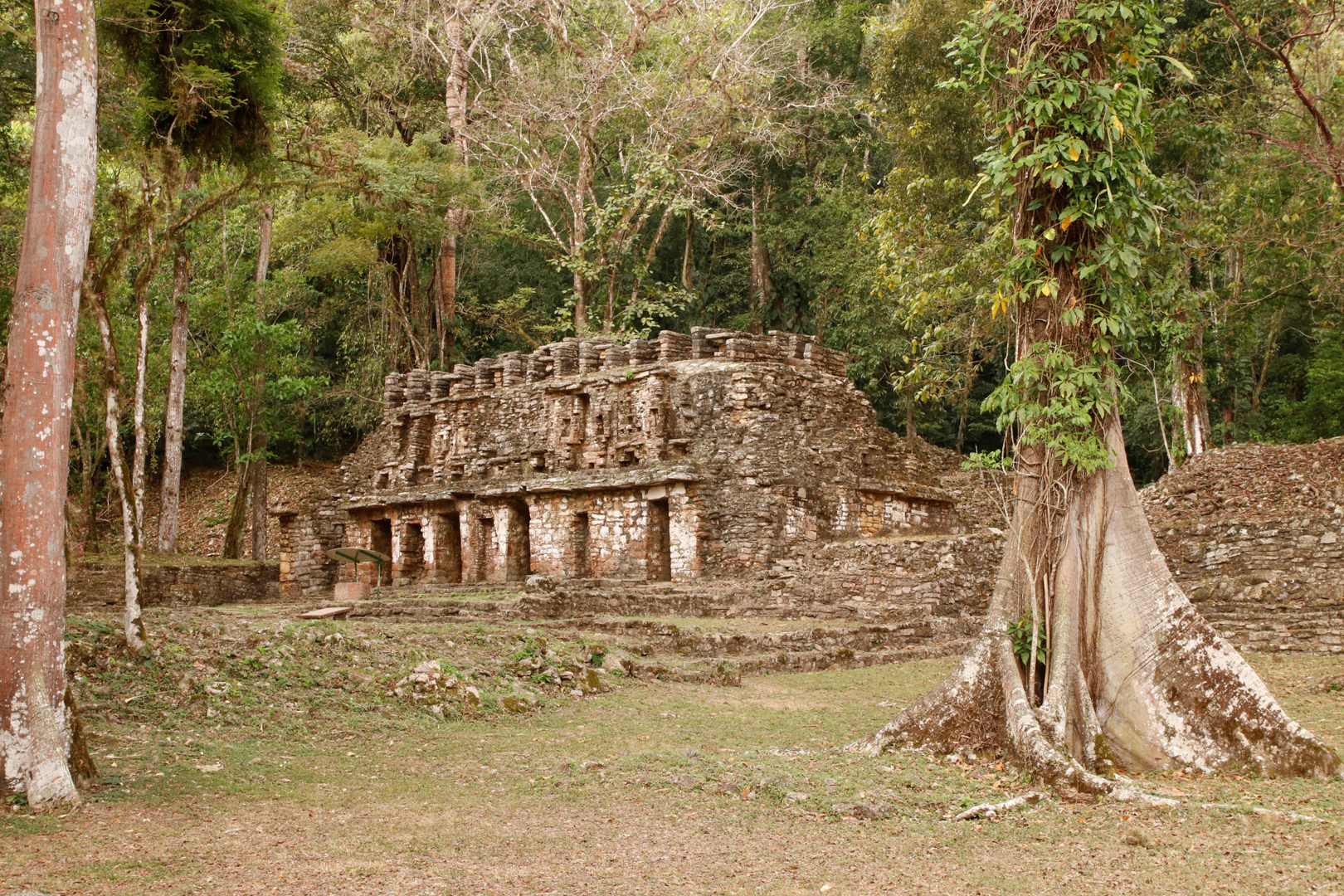 Yaxchilan