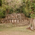 Yaxchilan