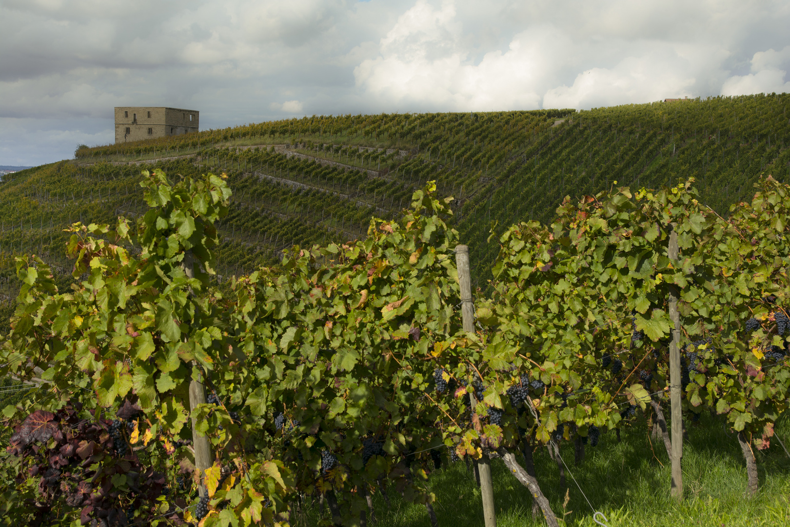 Yburg bei Kernen-Stetten im Remstal