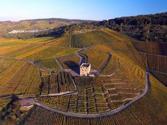 Yburg im Herbst