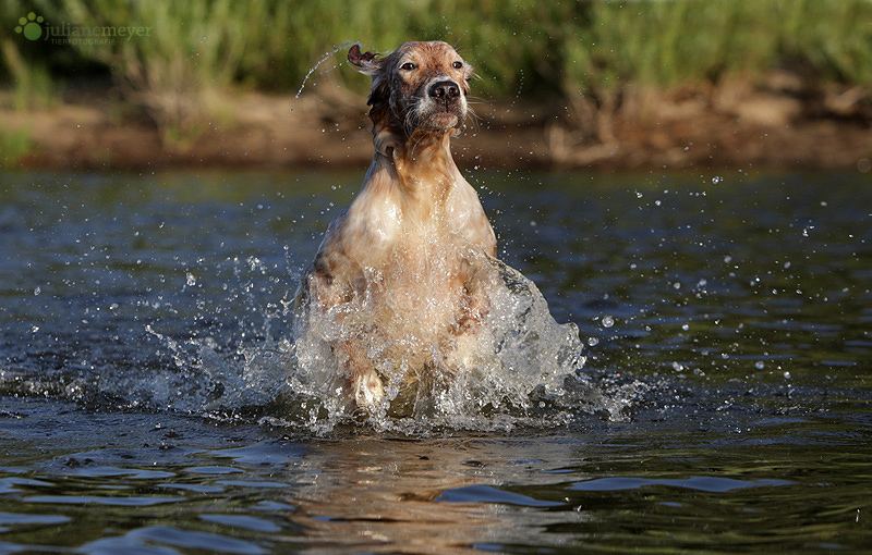 Yeah....SOMMER!