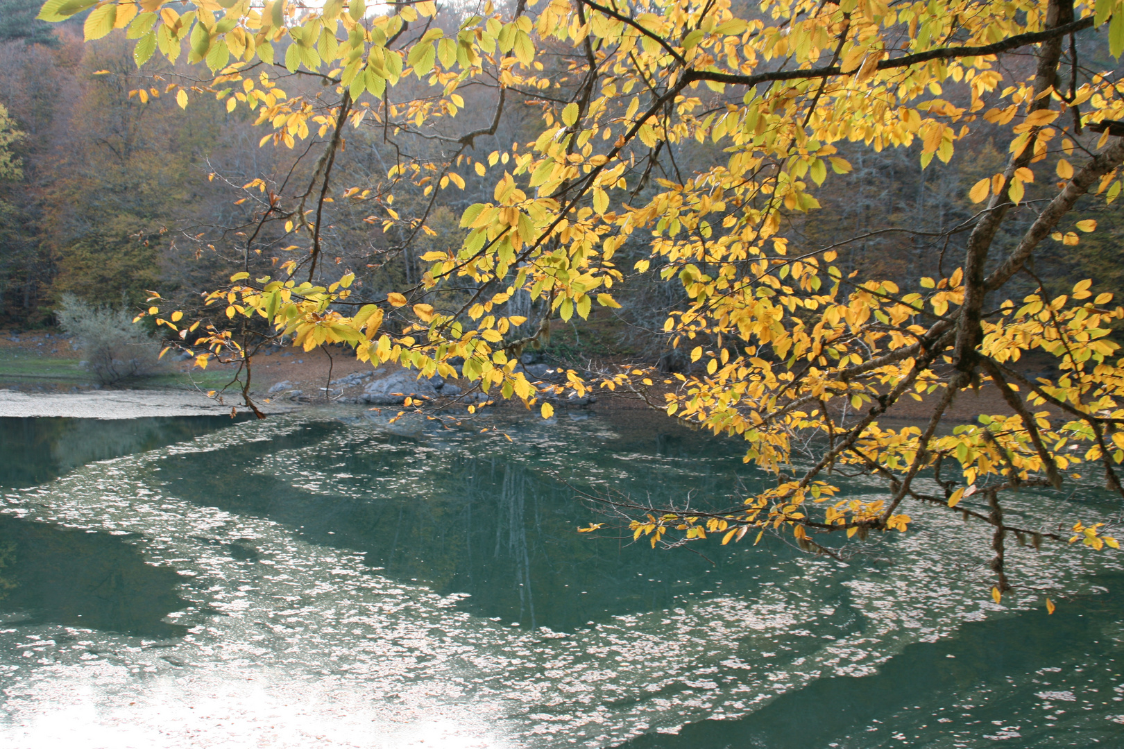 YEDIGOLLER-BOLU/TURKEY