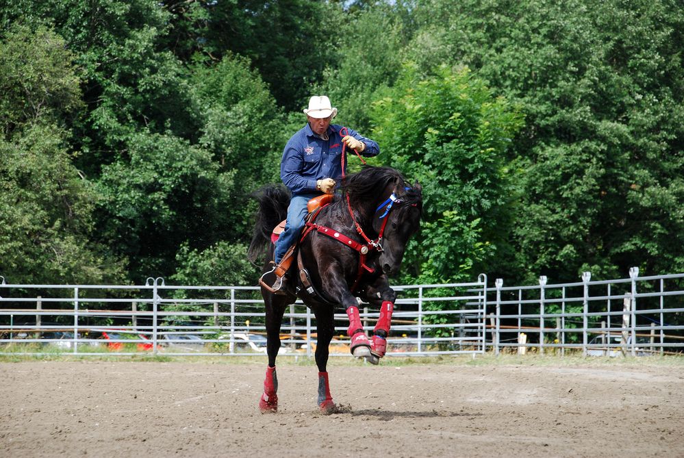 Yee-Haw!