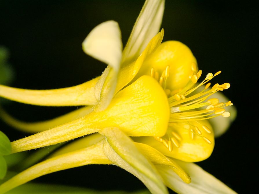 yellow 1 im Westpark, München