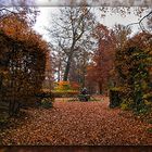 ... Yellow and Brown Carpet...