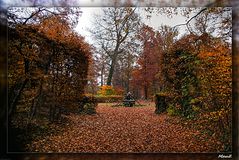 ... Yellow and Brown Carpet...