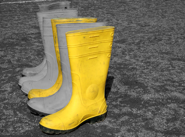 Yellow Boots