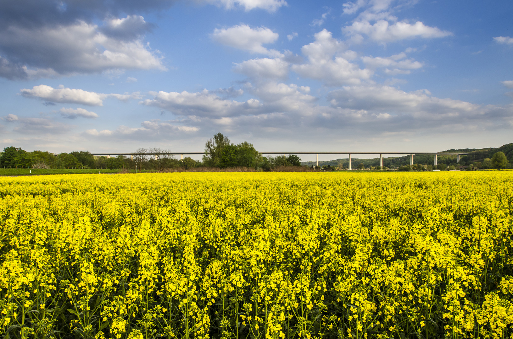 Yellow Brigde