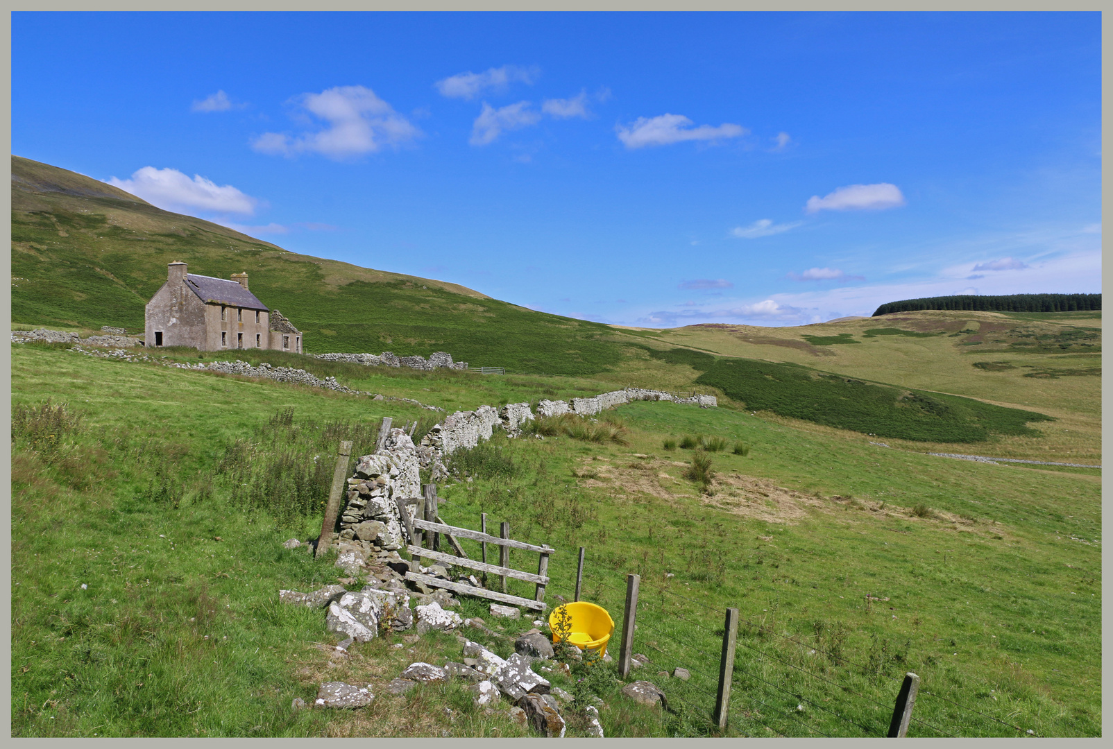 yellow bucket near Southcote ruin Cheviot hills