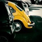 ... yellow bug ... 