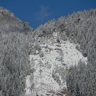 Yellow bugs on a mountain