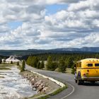 yellow bus