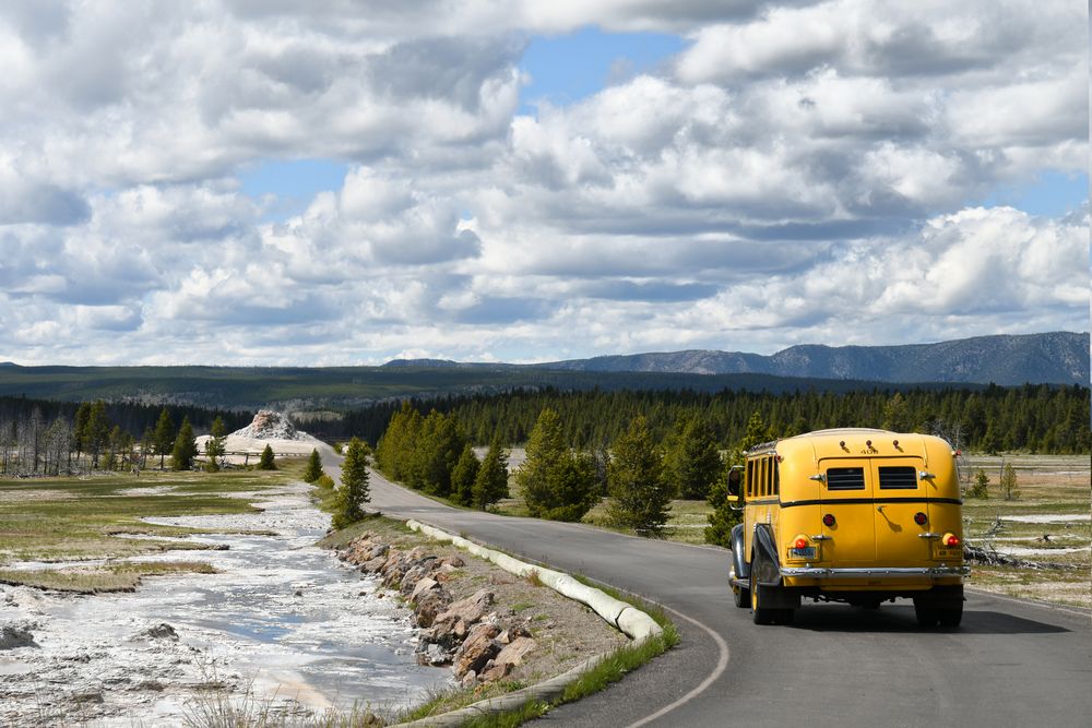 yellow bus