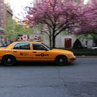 Yellow Cab