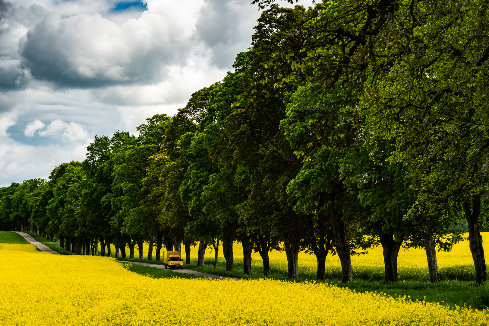 Yellow Car