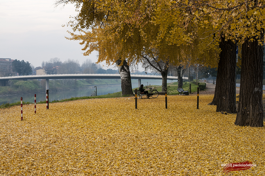 yellow carpet