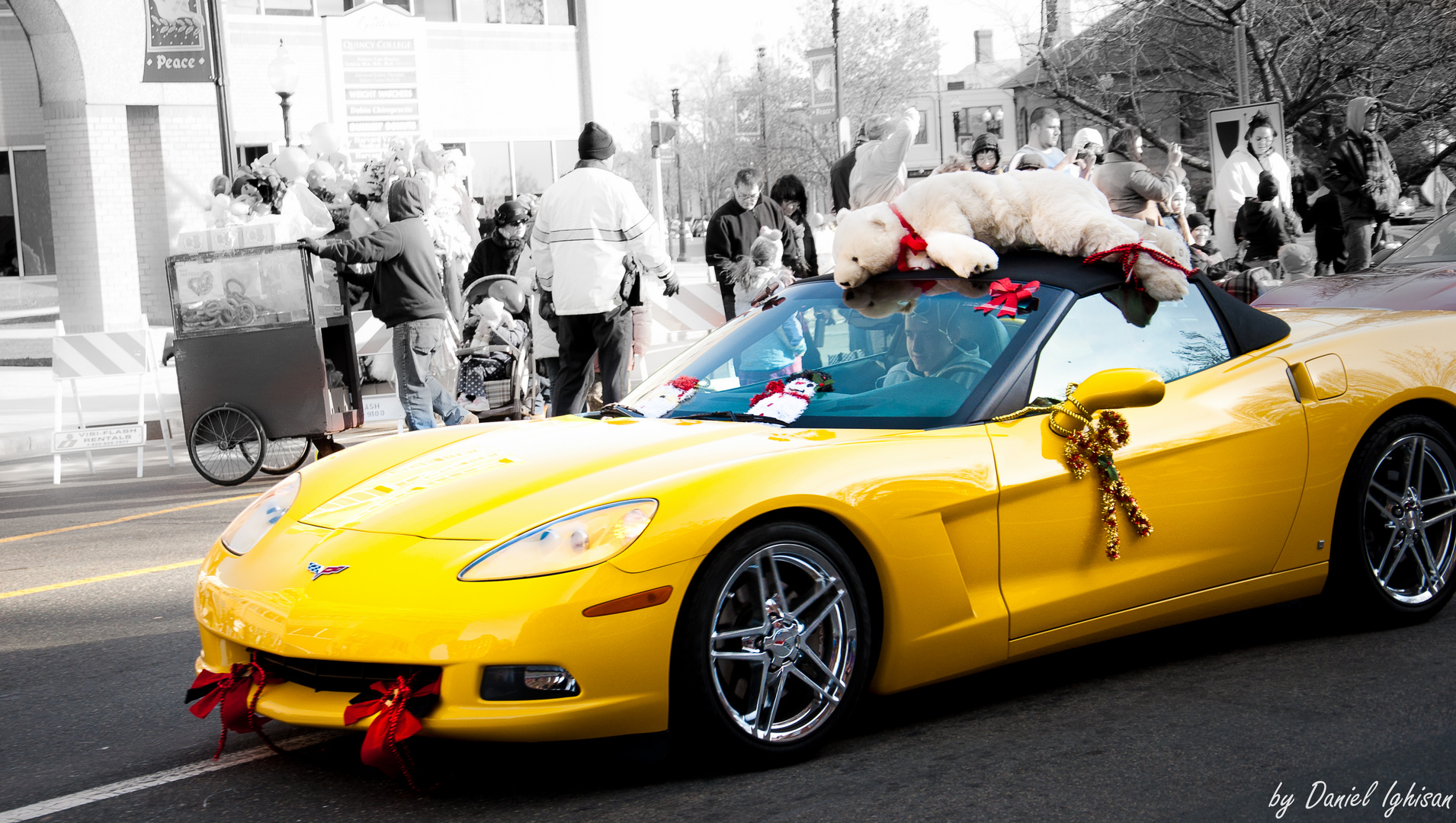 Yellow Chevy Polar bear