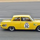 Yellow Cortina 