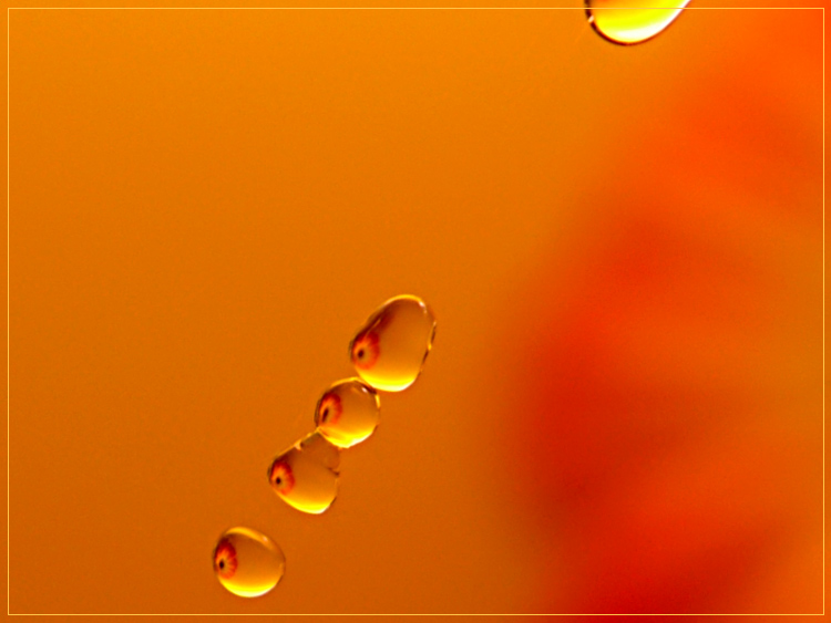 Yellow drops