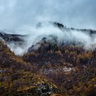 Yellow Fall | Valle Verzasca, Tessin, Schweiz