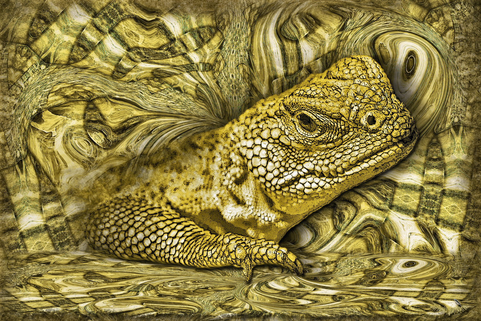 Yellow Fellow Foto & Bild spezial, gelb, composing Bilder auf