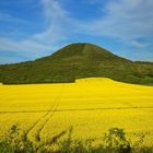 Yellow field