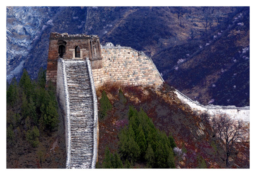 Yellow Flower Great Wall