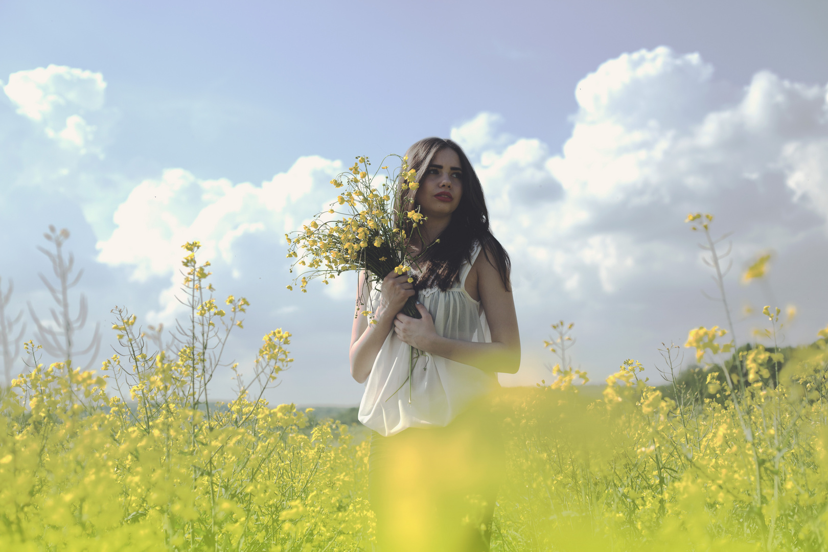 yellow flowers