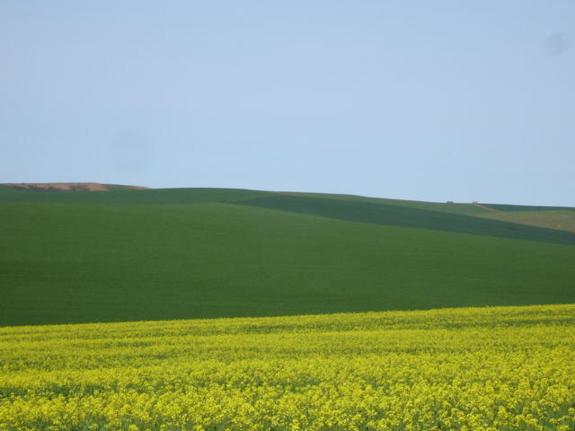 Yellow, Green and Blue