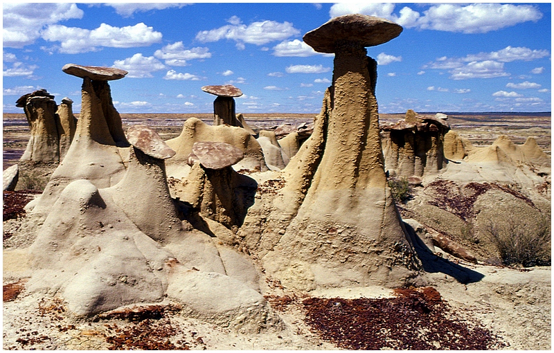 Yellow Hoodoo Gang