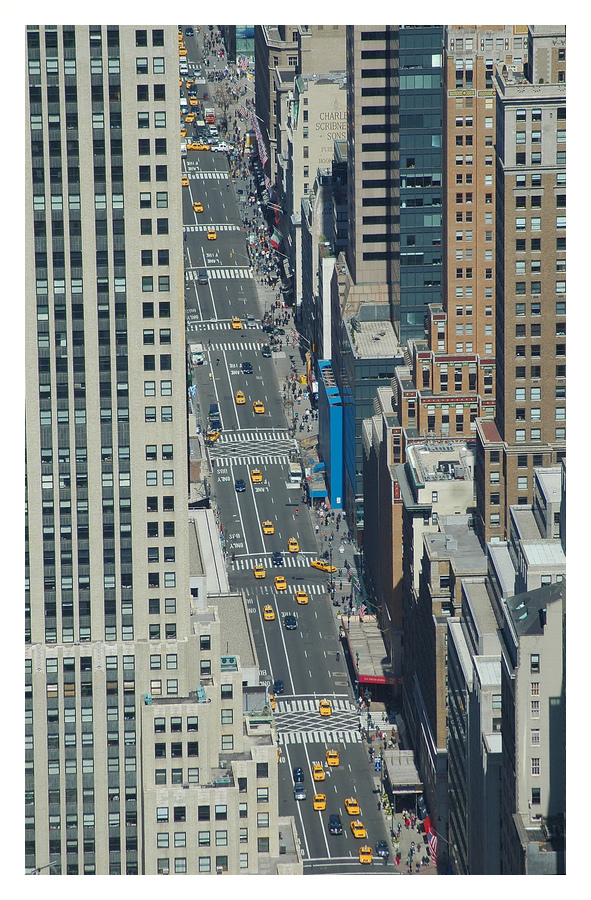 Yellow Invasion on 5th Avenue