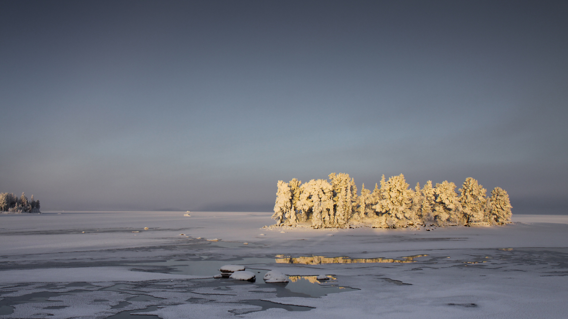 Yellow Island