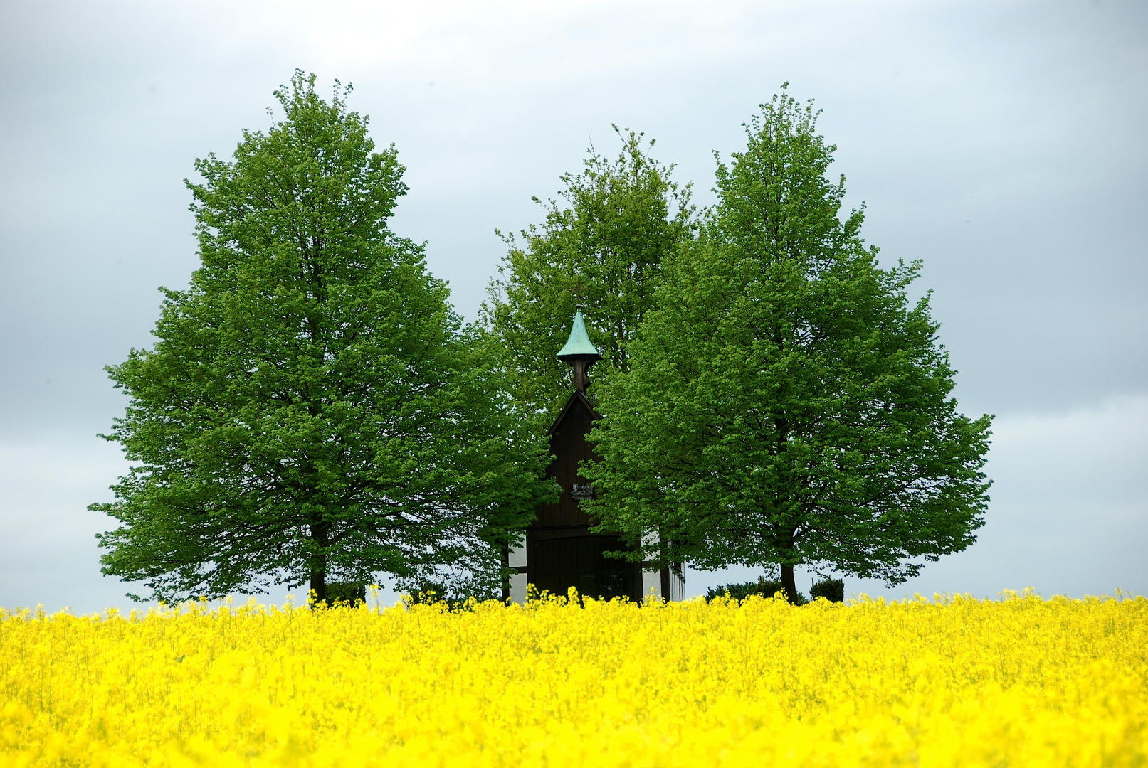 Yellow Landschaft...