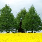 Yellow Landschaft...