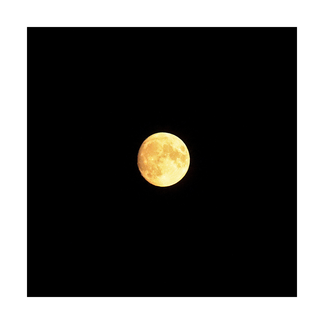 Yellow Moon