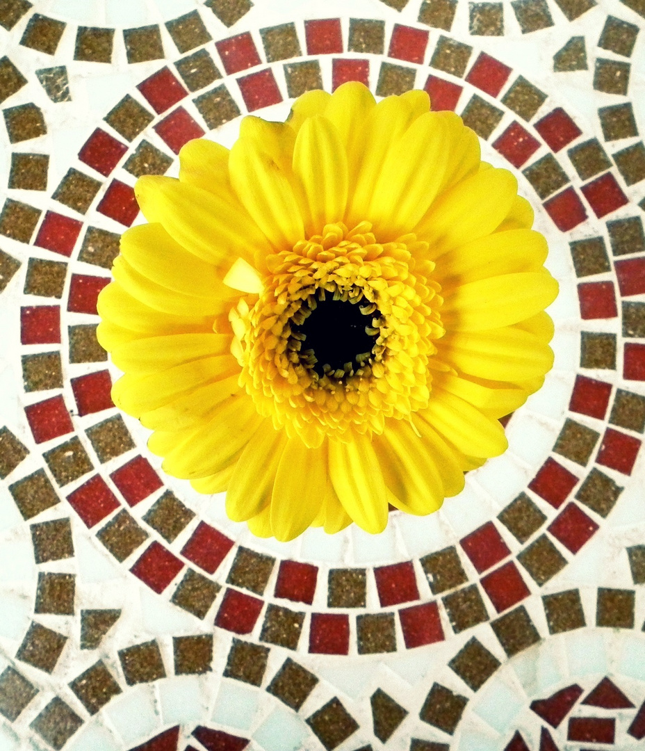 Yellow Mosaic