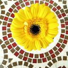 Yellow Mosaic