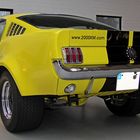 yellow Mustang (2)