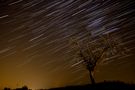 stars & startrails