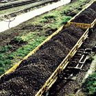 yellow railroad cars