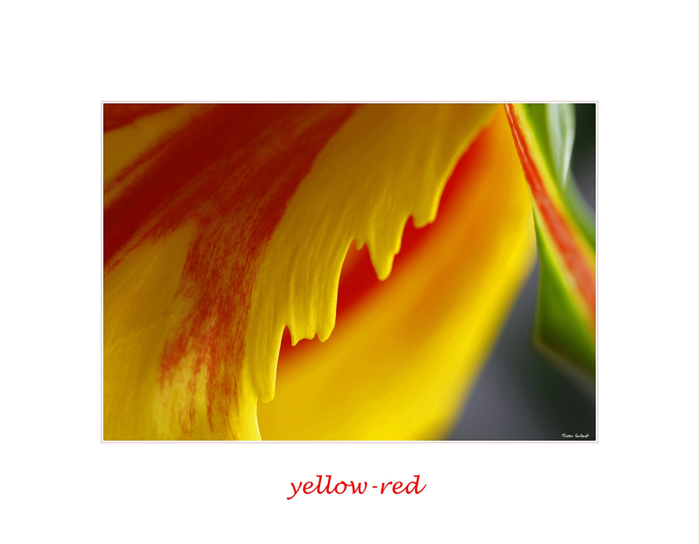 yellow-red