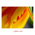 yellow-red