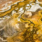 yellow river im Yellowstone N.P.