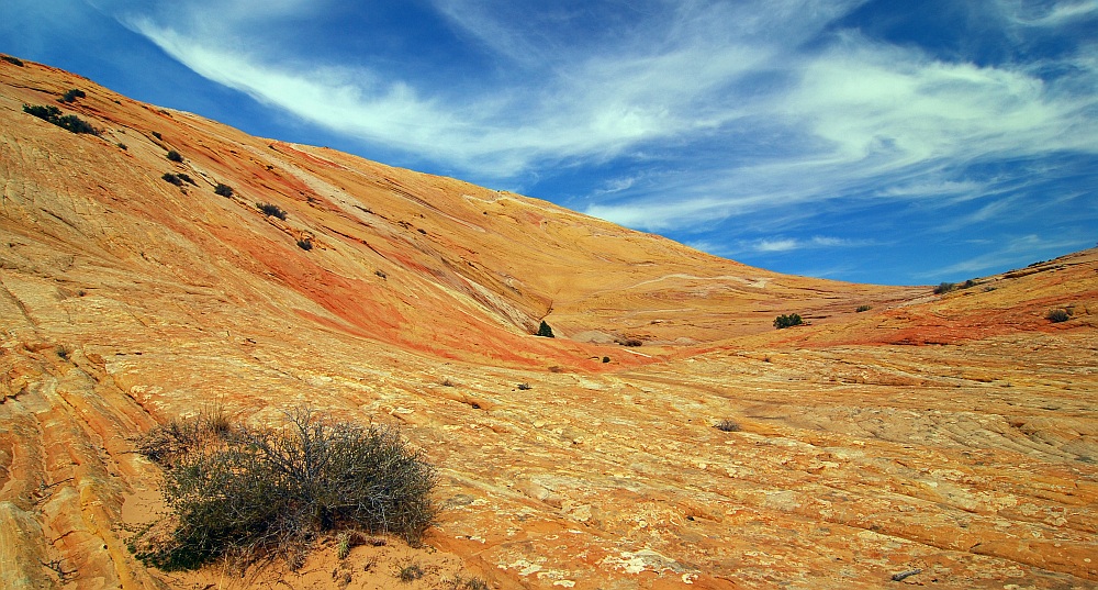 Yellow Rock