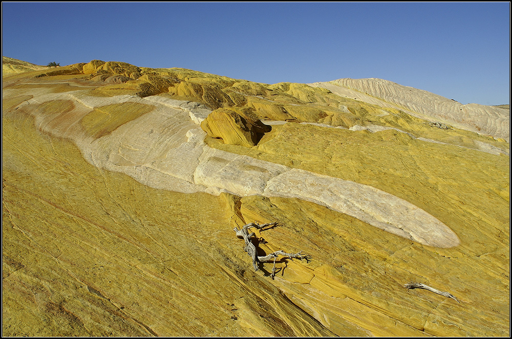 Yellow Rock Detail