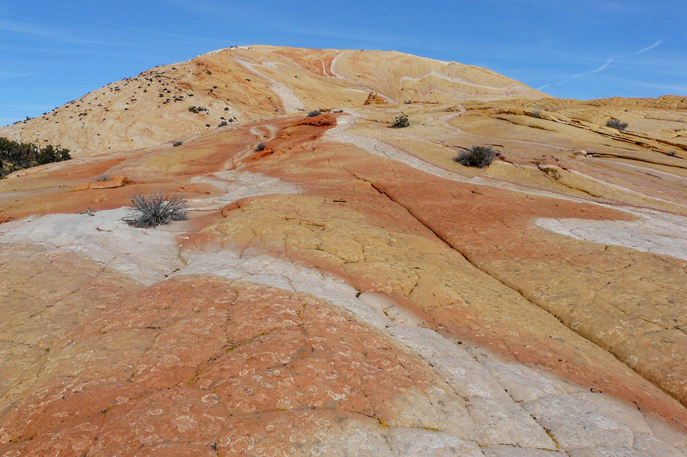 Yellow Rock