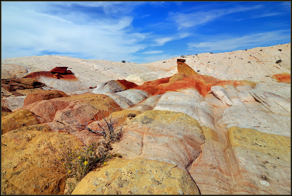 Yellow Rock Impressions